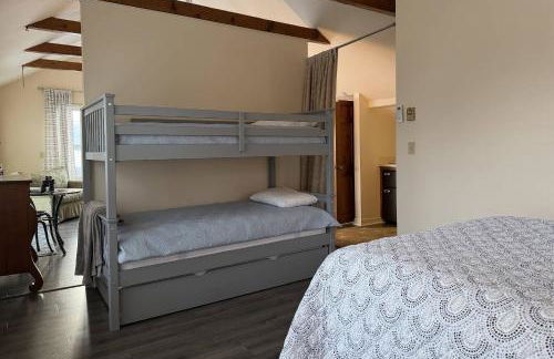 The Dragonfly - Planting Island - Photo 30