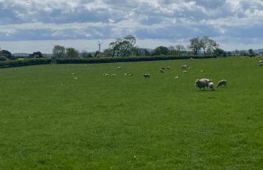 Ballymullock Barn Lofts - Foto 23