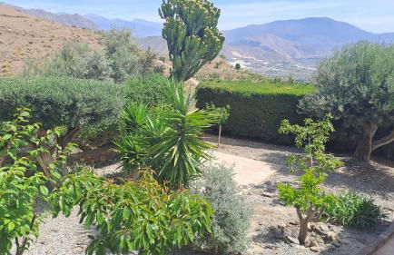 La Nuestra CaRo - Foto 14