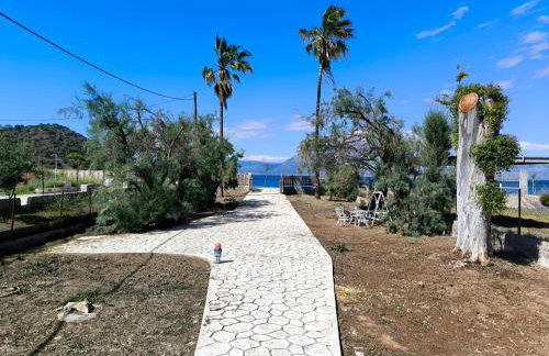 Palm tree house by the beach - Foto 64