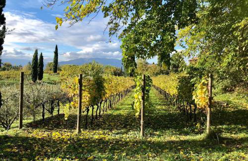 Maso Di Villa Relais di Campagna - Foto 56