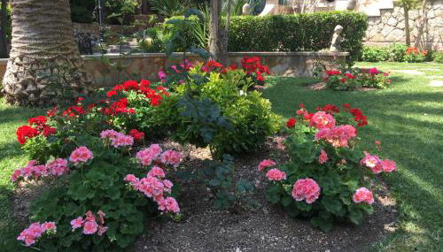 Villa Son Armadans - Photo 5, Garden