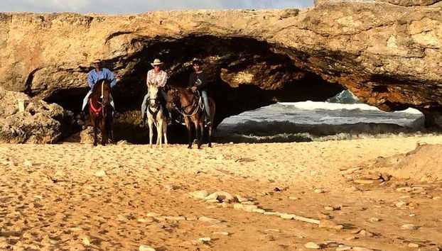 Explorez la plage de Wariruri à cheval