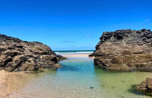 Anvil The Old Smithey - Foto 10