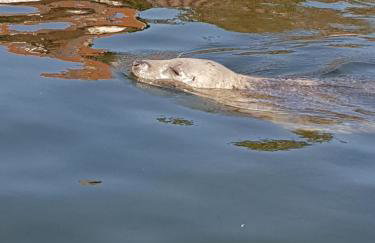 Angel Apartament - Foto 24