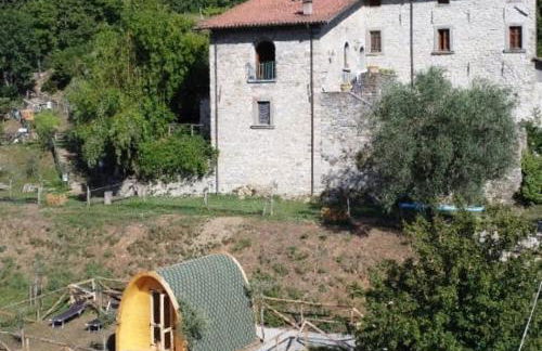 Agriturismo Fattoria didattica Il Macereto - Foto 8