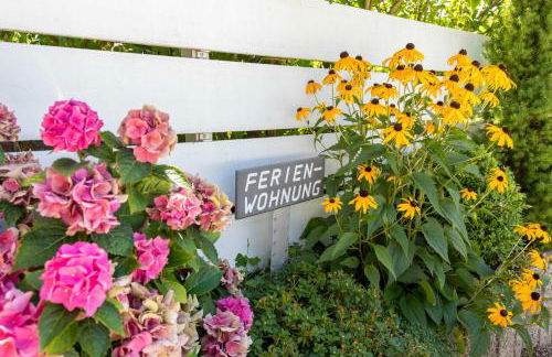 Ferienwohnung Bodensee Fisch - Foto 15