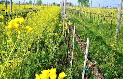 Agriturismo Gazza Ladra - Foto 25