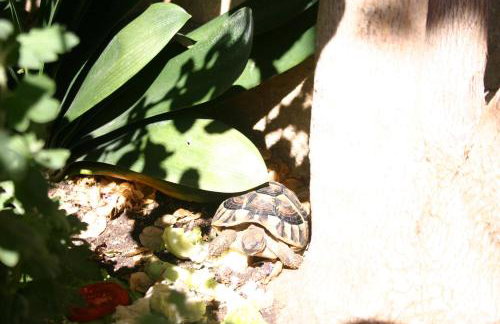 Apartments Dubrovnik Center - Photo 34