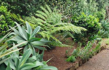 Sítio da Assumada - Foto 39