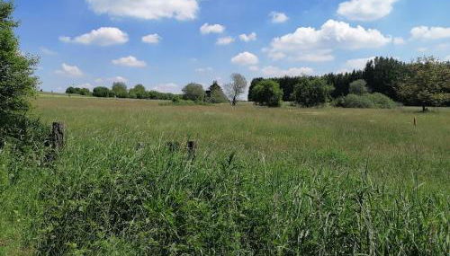 Blockbohlenhaus-Steiner-Lodge - Foto 5