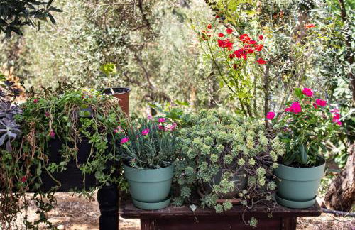 Renia's house - Foto 29