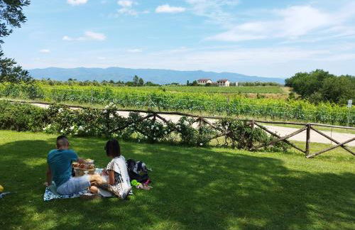 Tenuta San Jacopo - Agriturismo - Foto 59