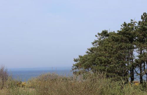 Les 4 oies - Wimereux - Foto 22