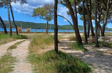 Apartments Jurić - Zablaće - Foto 7