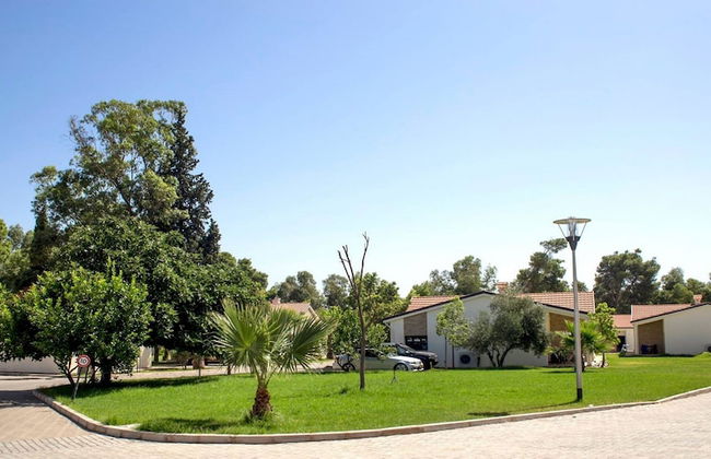 Diamant Vert - Photo 55