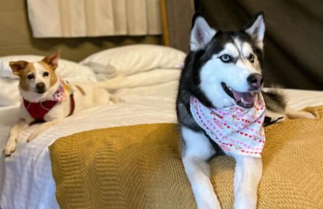 Lost Horizon Texas - Foto 30