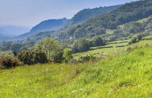 Ty'n y Cae - Foto 58