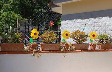 Red Bridges House Maria - Photo 48