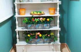 Casa Pedro - Photo 15