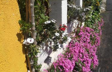 Apartment Maggi - Photo 39