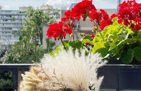 Appt 2 Chambres Vue Tour Eiffel - Foto 1