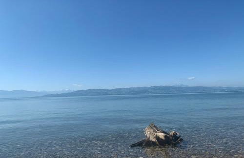 Hopfenglück - Photo 36