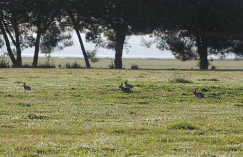 TangoSierraResidences - Foto 49