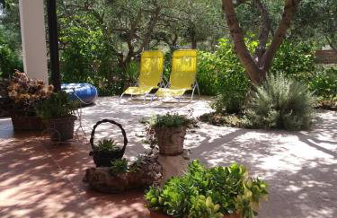 Apartments IDA Sucuraj - Foto 6