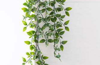 Lithies Zante Living - Foto 106