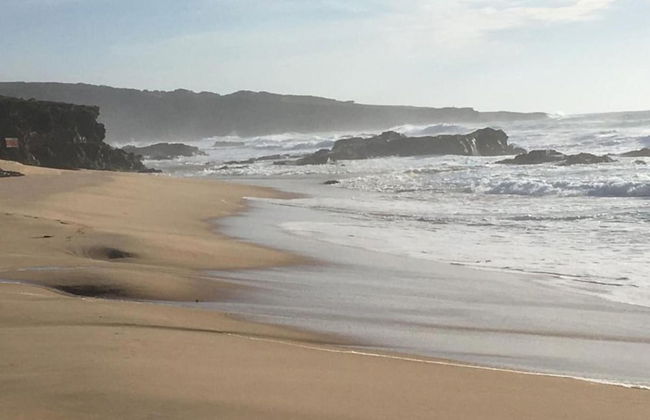 Quiet & Cottage in Estate Casas da Cerca near Troviscais - Foto 29