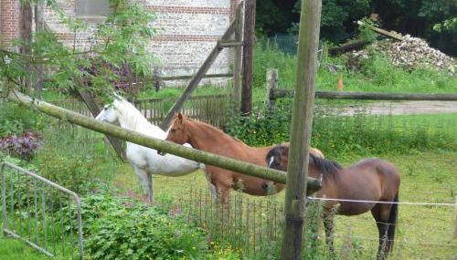 La Ferme du Manoir Etretat - Foto 5