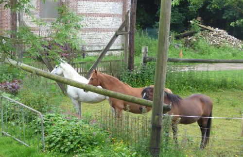 Etretat's Motel - Foto 4