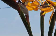 Margarita House - Foto 48