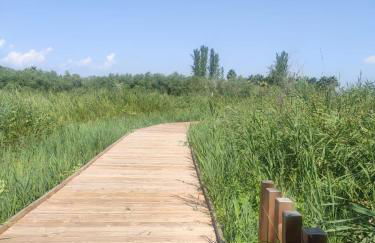 Lo Petit Delta - Foto 39