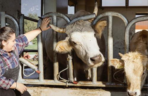 Asolo Norah's Hill Agri Rooms - Foto 57