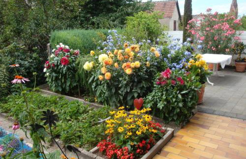 Villa Stumpf - Photo 24