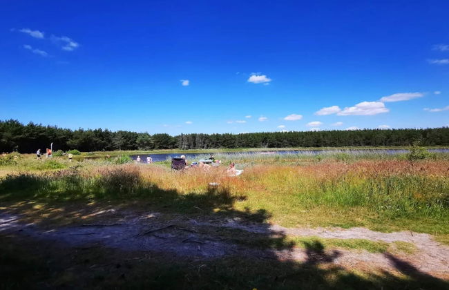 8 Person Holiday Home in Ulfborg - Foto 14