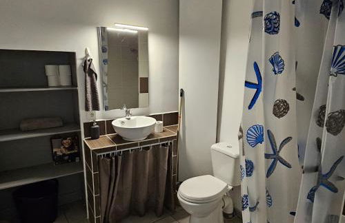 Meung sur Loire sur la route des Châteaux - Photo 33