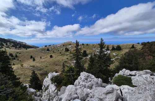 Apartment Biondić - Villa Sunce - Foto 47