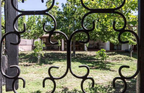 Abba Arrubia - Foto 24