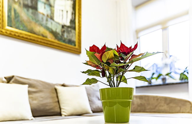 WINWINSTAY Residence in Heart of Old Town - Photo 20