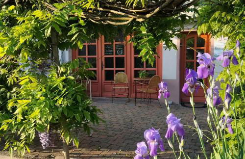 Les capucines la souris des champs - Foto 19