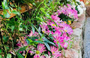 Vivienda Vacacional El Majo - Foto 13