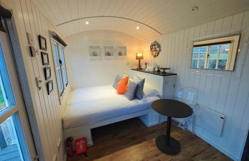 Luxury Countryside Shepherds Hut with Hot Tub - Foto 1