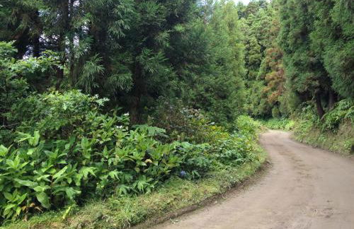 Casa dos Platanos-Family Home - Photo 33