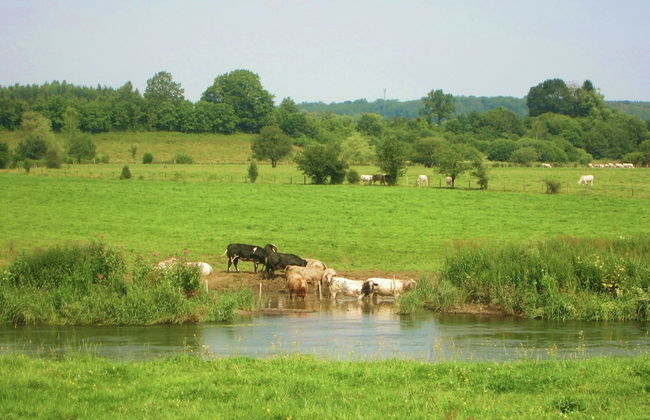 Forest Cottage, Jehonville - Foto 33