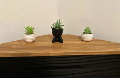 Charming 2-bedroom apartment with Washer and Dryer in Jersey City - Foto 10