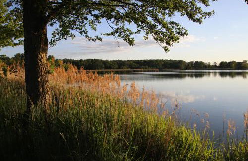 Ferienhaus "Ullersdorfer Teiche" - Foto 23