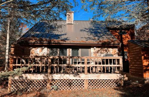 The Magic Teacup - Photo 39